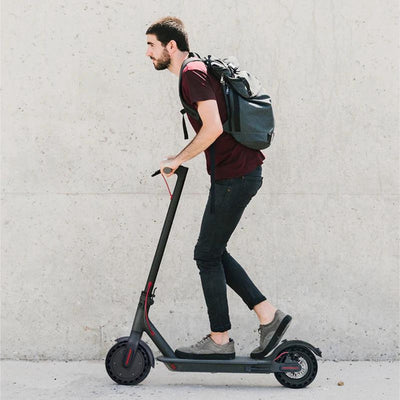 Elektrische step | WHEELZ 2 | 350w | 25km/u